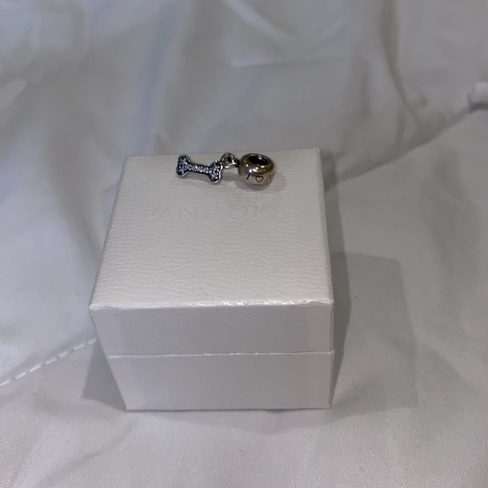 Pandora Charm